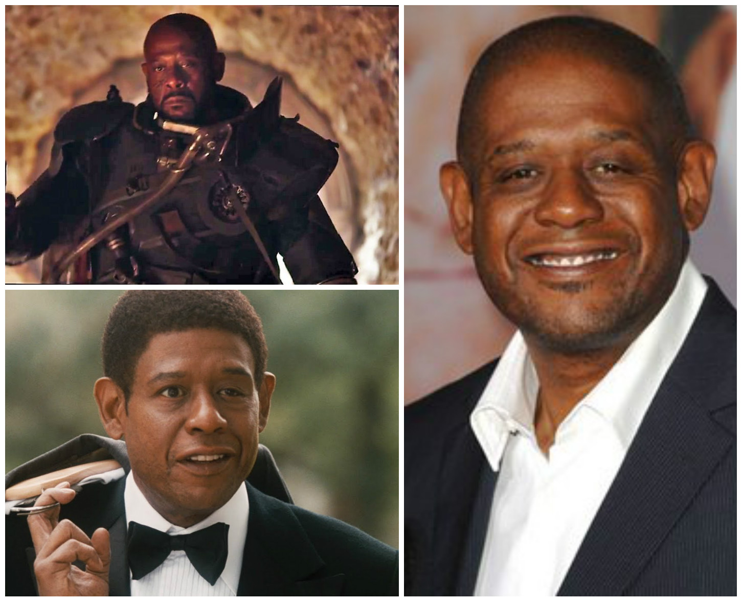 panel-forest-whitaker