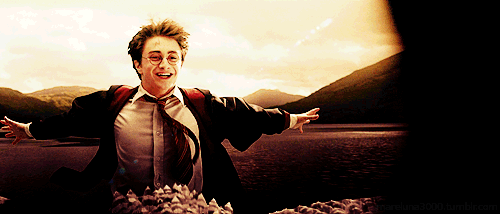 harry on buckbeak