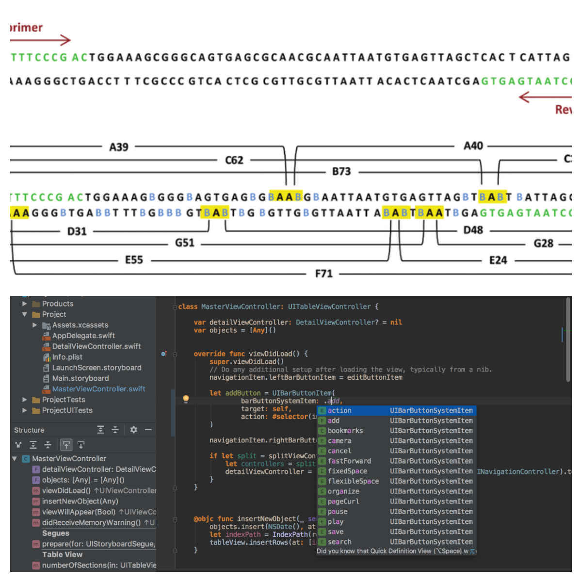 dna vs code.jpg