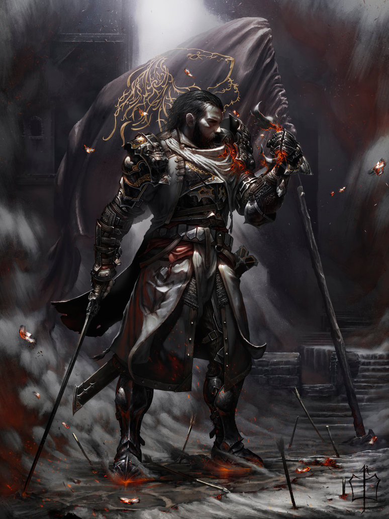 paladin_by_ckgoksoy-day8bzt